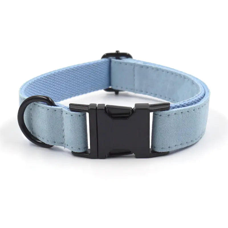 Light Blue Velvet Pet Collar and Leash with Bow